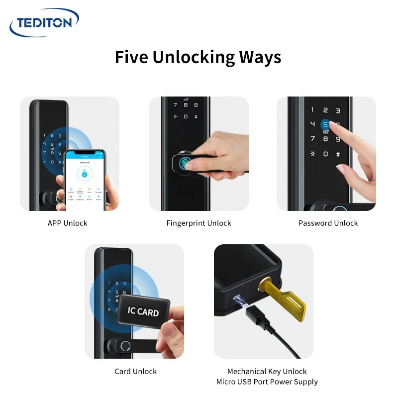 Tediton Remote Home Electronic Digital Wifi Smart Fingerprint Door Lock with Tuya App