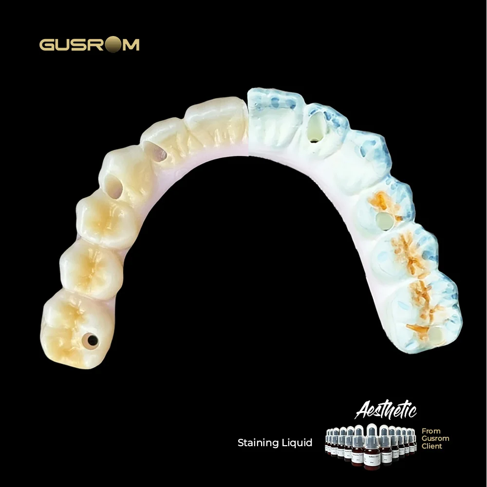 GUSROM Zirconia Esthetic Coloring Liquid 13 Shades Dental Lab Shade Dye Stain for Pre-Sintered Zirconia Crown Bridge Veneer 20ml