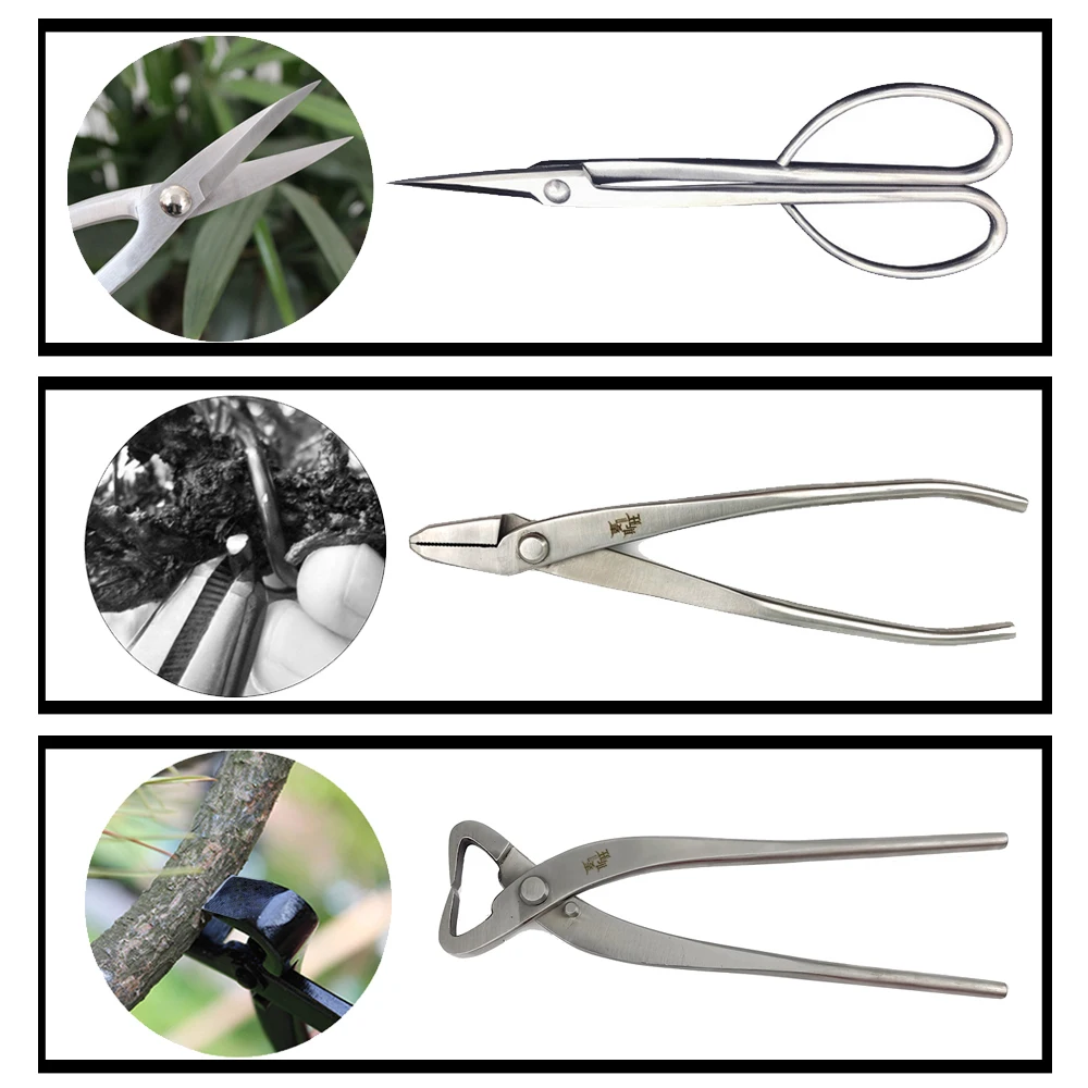 Professional Grade 4/5/6/7PCS Bonsai tool Set Kit Stainless Steel Bonsai Scissors Knob Cutter Jin Pliers Trunk Splitter Garden