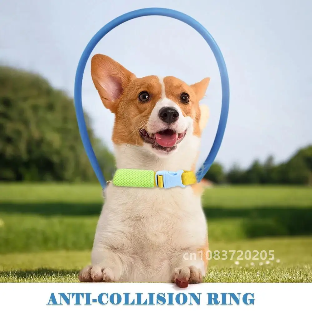 Blind Pet Anti-collision Collar Dog Guide Training Behavior Aids Fit Small Big Dogs Prevent Collision Collars Supplies