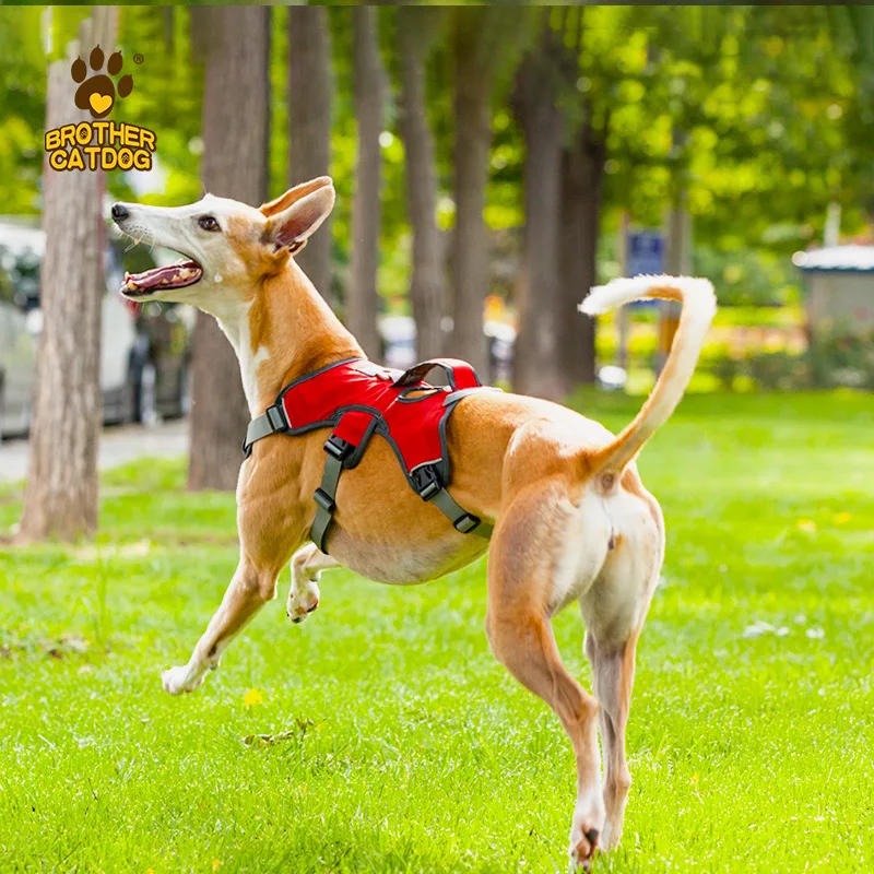 The dog chest strap can be lifted to prevent breaking away from the large dog walking vest type Big dog chest back