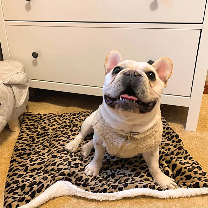 

Christmas Thickened Pet Mat Keep Warm Comfortable Dog Mat Breathe Washable Sleeping Sofa for Dog Cat Small Medium Pet Supplies