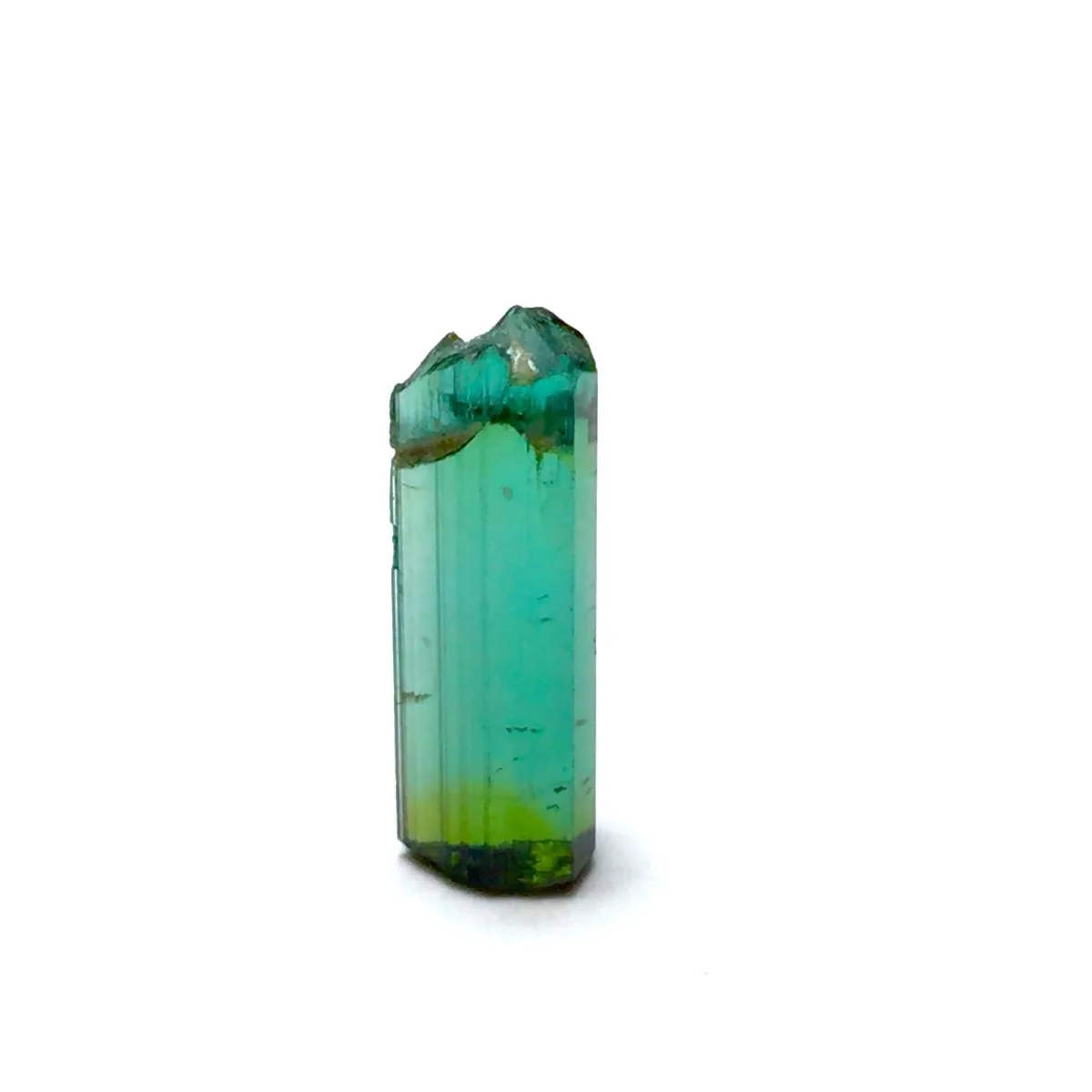 Brazilian Elbaite Rough Mineral Stones, 10g 5-15mm Multicolor Stones, Display Box for Collector Gift Box & Rock Collection