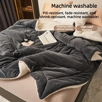 Super Soft Imitation Lambswool Autumn Winter Blanket Double Queen Blankets High-quality Comfortable Milk Fleece Sofa Blanket 4