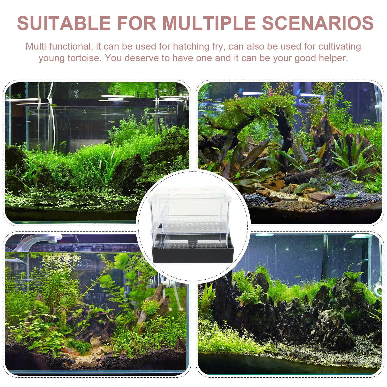 

Turtle Tank Filter Small Fish Filters Accessories Transparent Compact Reusable Aquarium Plastic Professional Household Supply