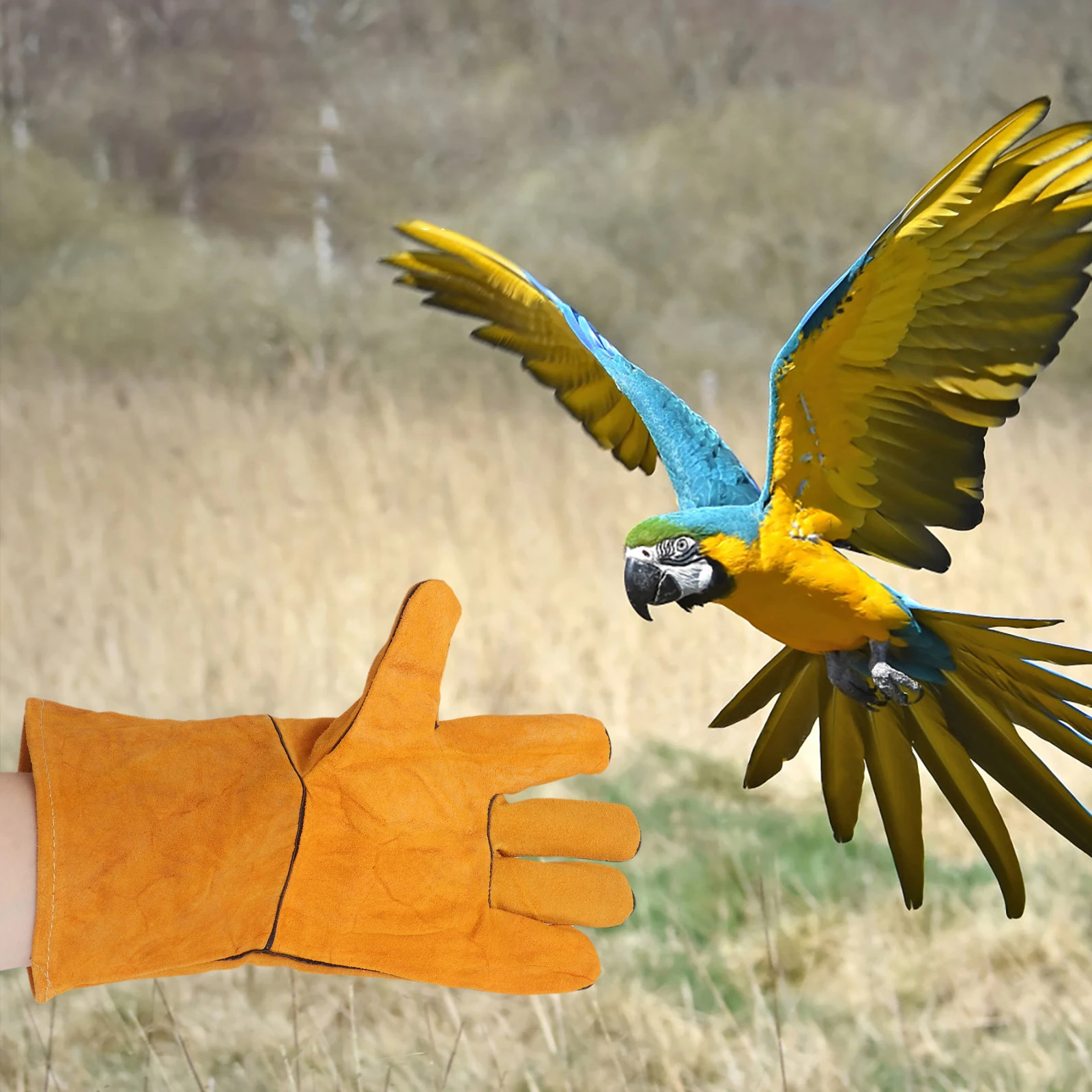 

Premium Material Protective Gloves Easy to Wear Off for Pet Training Must-Have Accessory for Secure Pet Handling