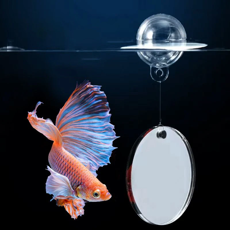 Acrylic Betta Training Mirror Floating Ball Suction Cup Double-sided Outside Mirror Fish Playing Fish Tank Aquarium Decoration