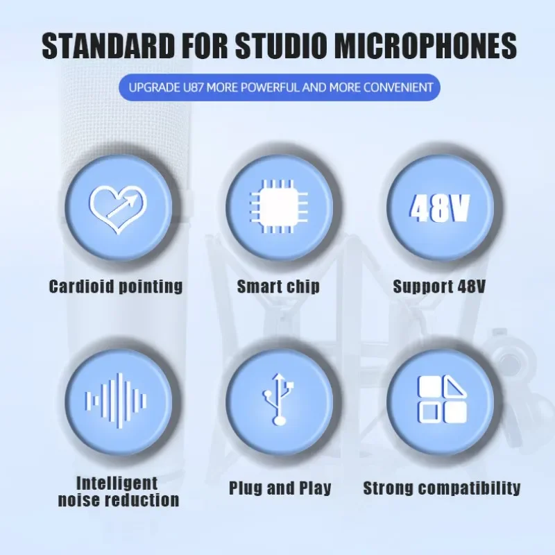 RAYHAYES U87 Microfono a condensatore Microfono da studio cardioide professionale per podcasting Streaming Home Studio Attrezzature di registrazione