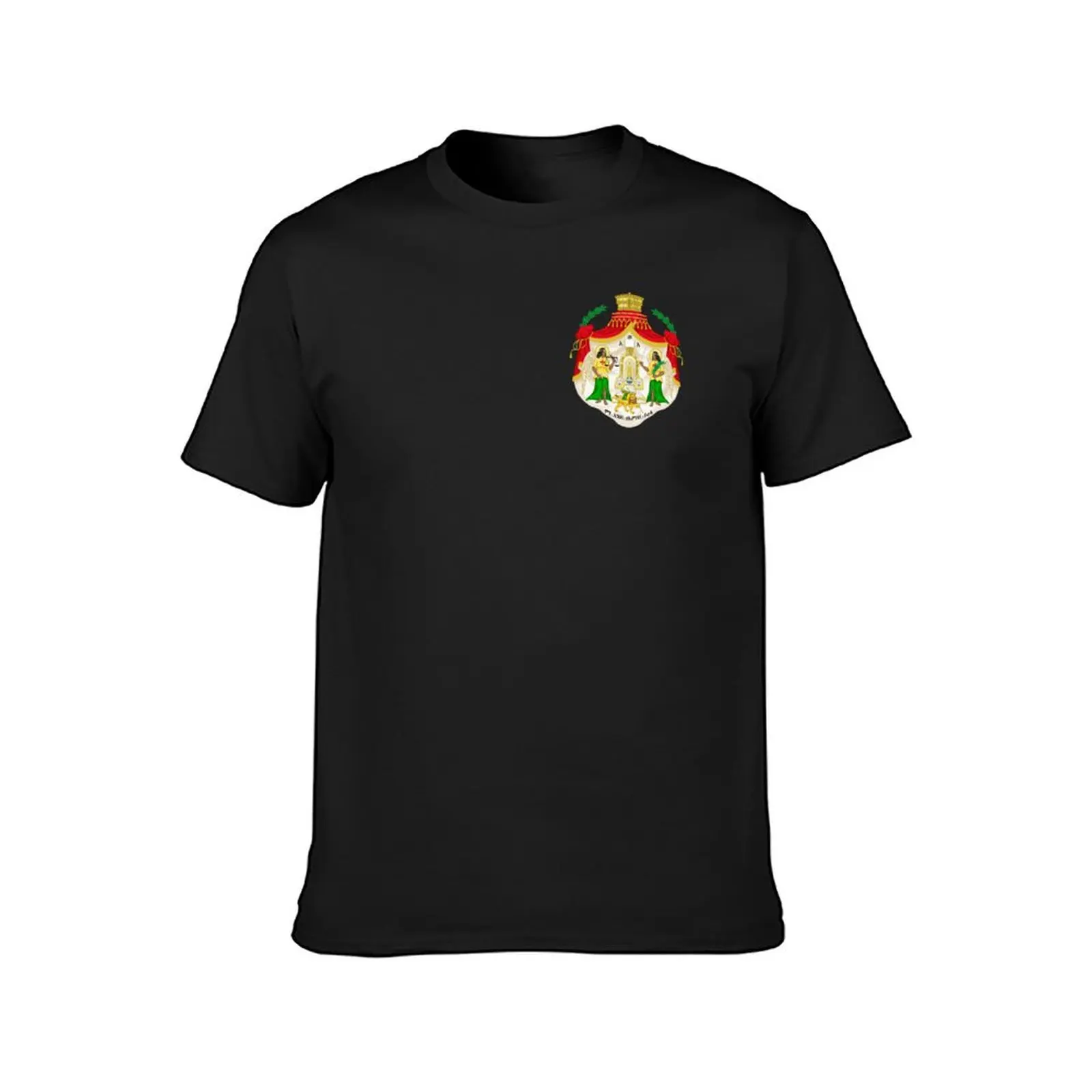 Imperial Coat of Arms of Ethiopia under Haile Selassie T-Shirt quick drying summer tops t shirt men