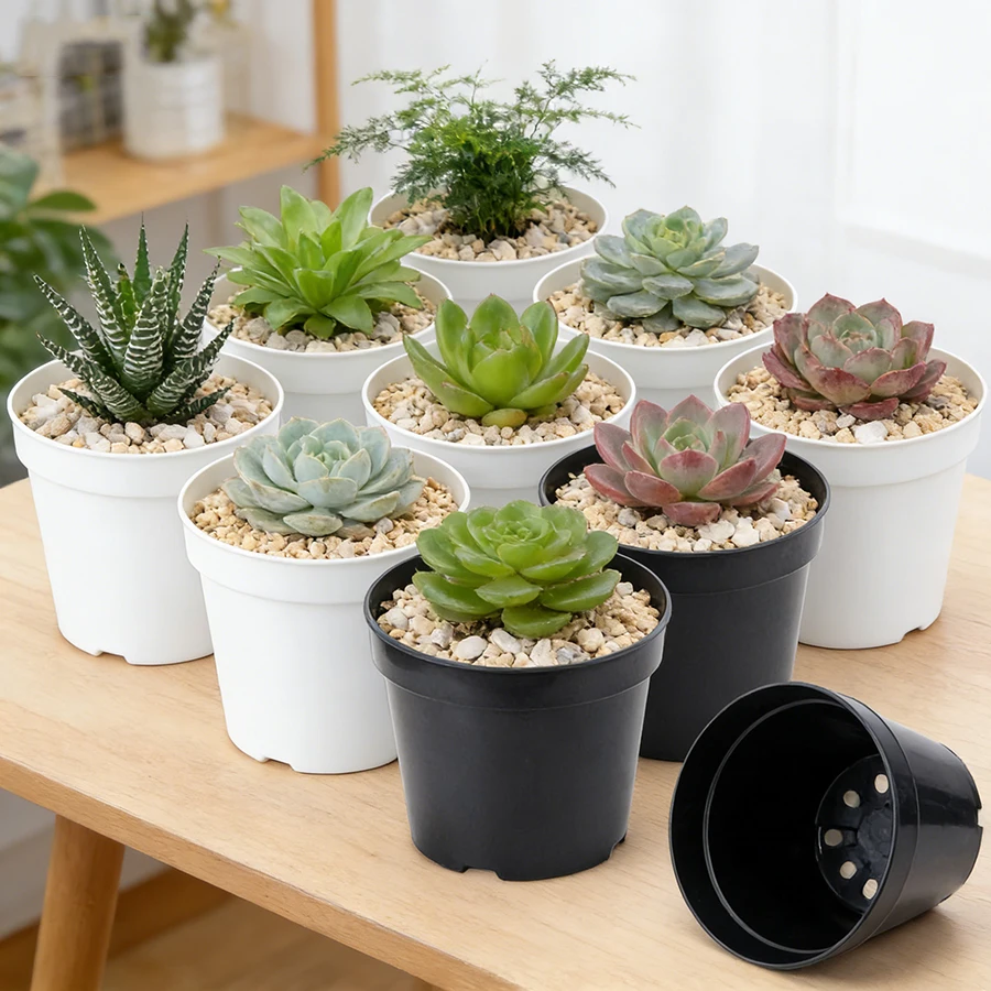 20Pcs Mini Round Plastic Succulent Nursery Pots Seedling Starter Pots for Tabletop Gardening Flower Propagation Cactus Planting