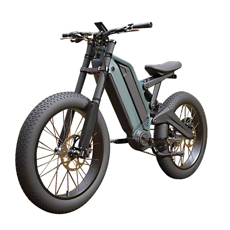 

24 Inch Fat Tire 1000W 48V 15AH 10AH Dual Lithium Battery Aluminum Alloy Adult 9 Speed Electric Dirt Bike Bafang Mid Drive EBike