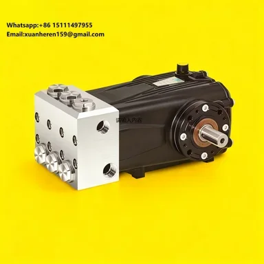 LD Series 40LPM 50LPM High Pressure Plunger Pump for RO Seawater Filter Machine