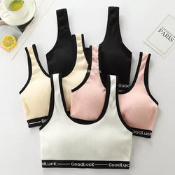 Letra Sports Cotton Bra para Mulheres, Push Up Bra, Tops de Fitness, Corrida, Yoga, Ladies Sportswear, Sem Fio, 9-18