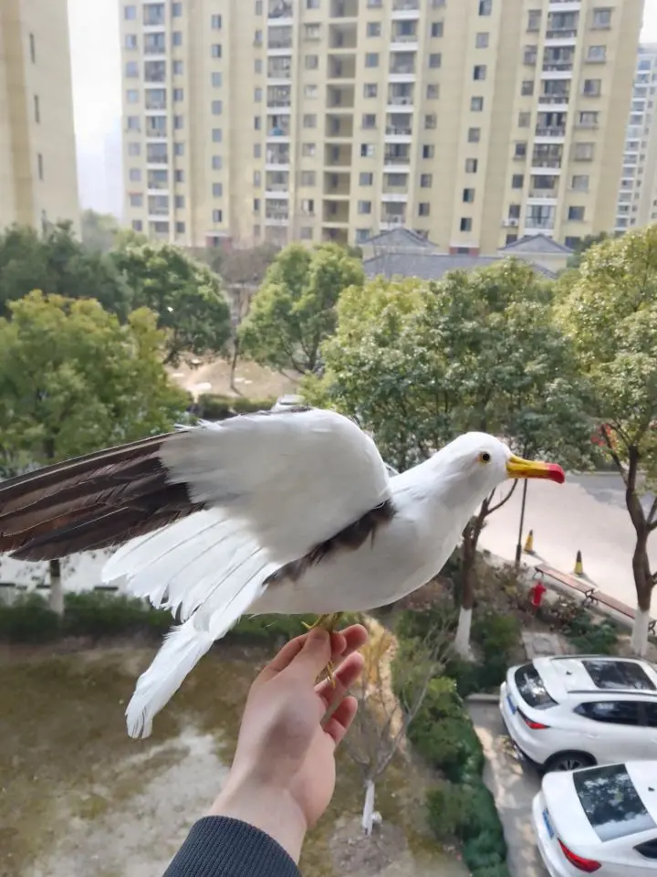 Large Seagull Model Garden Decoration Foam & Feather Wings Realistic Bird Sculpture Approx. 30x55cm for Outdoor Spaces