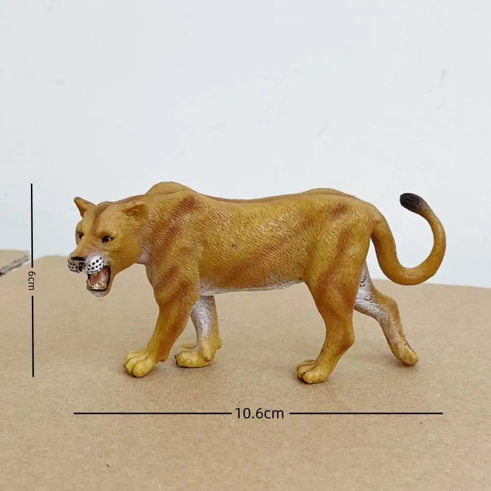 Collecta Figurine - Lion Africain 88782