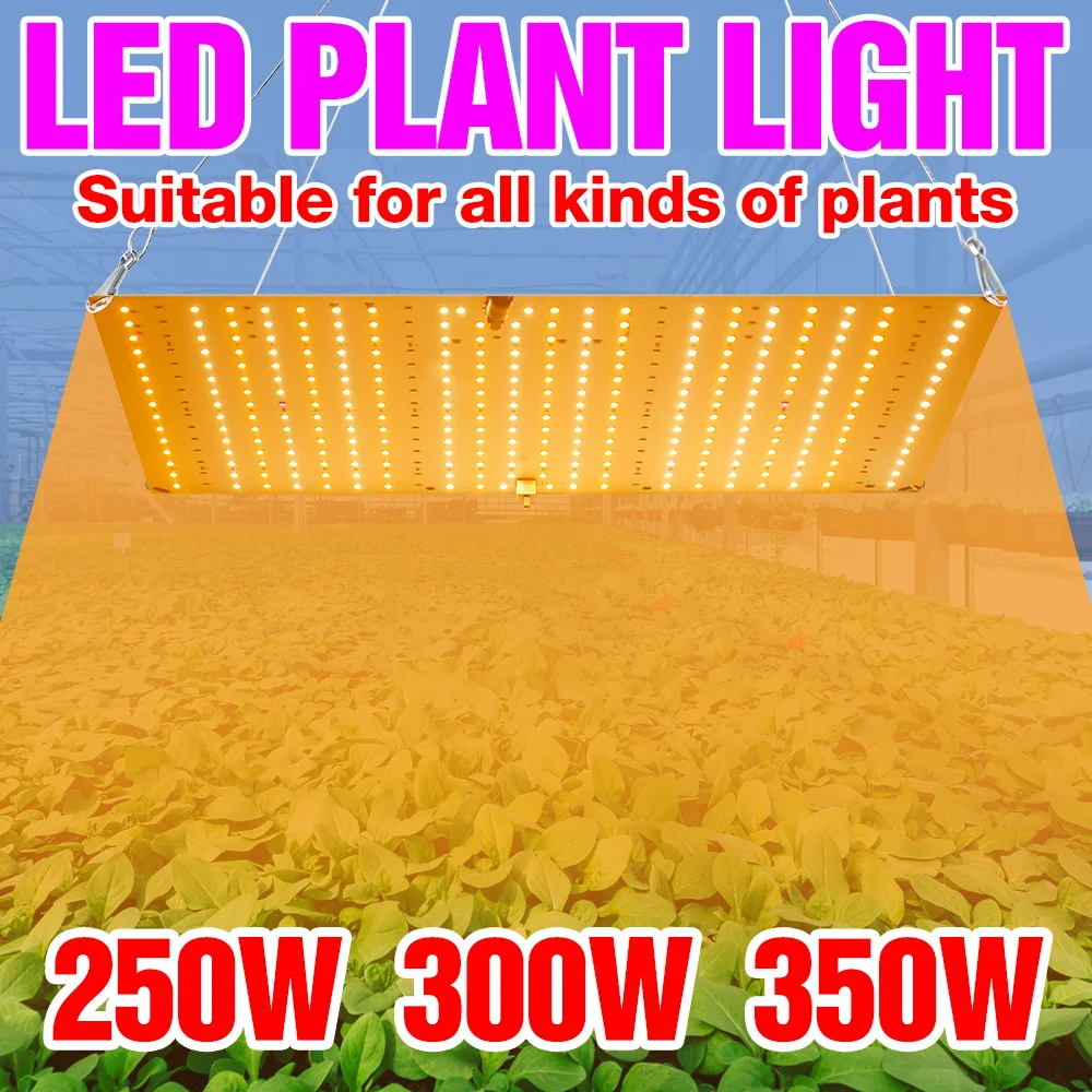 

350W Full Spectrum Grow Light LED Quantum Board Seedings Planting Fill Lamp Greenhouse Tent Vegs Fruits Cultivation Lighting