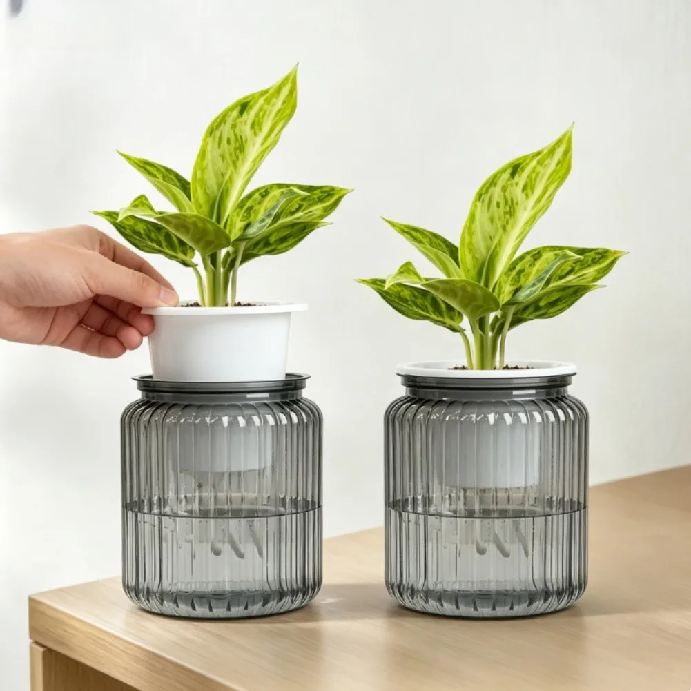 Transparent Self Watering Plant Pot Set of 2 with Dual Layer System and Visible Water Indicator for Balanced Plant Hydration