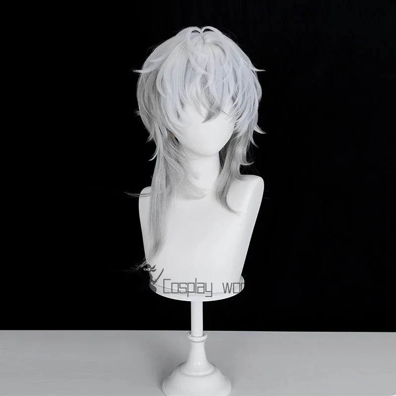 فرسان SilverAsh the Reignfrost شعر مستعار تأثيري فضي رمادي مجعد الكتف طول الشعر مقاومة للحرارة الباروكات للرجال النساء كرنفال #3