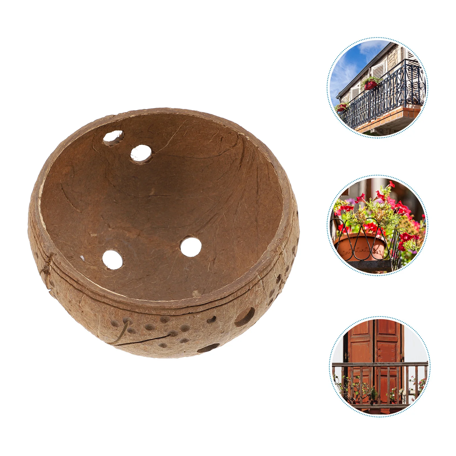 وعاء نبات عصاري معلق على شكل قشرة جوز الهند سلة معلقة على شكل زهرة صغيرة للداخلية والخارجية وديكور حديقة الشرفة وعاء الزراعة والحديقة #3