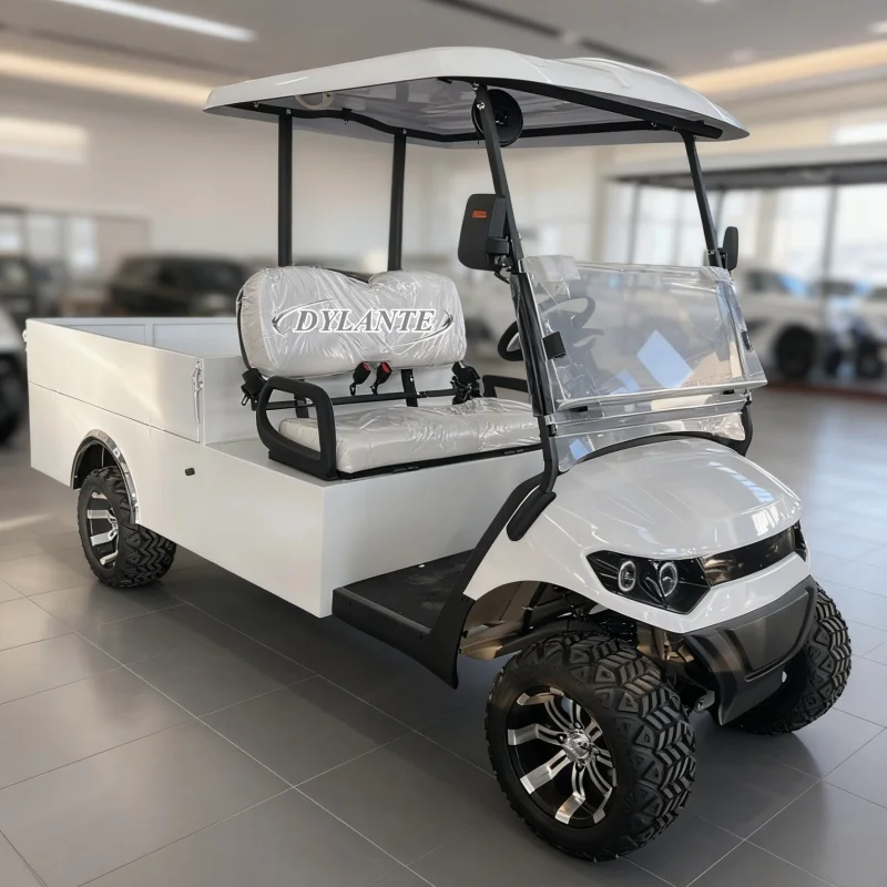 شريك حصري للألعاب الآسيوية 4 مقاعد لوحة طاقة شمسية عربة جولف كهربائية على الطرق الوعرة سيارة صيد عالمية المنتج الأكثر مبيعًا #3