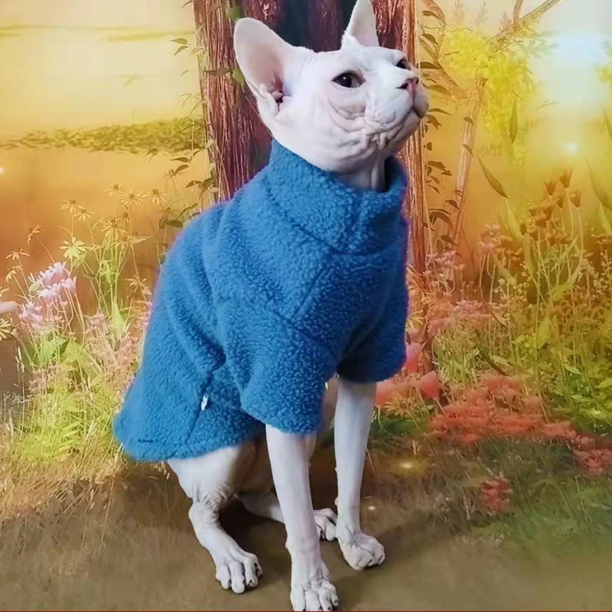 Hairless Cat Clothes Velvet Conton Inside Soft and Warm Sphynx Cat Clohtes, Devon,Cornish,Peterbald Cat Clothes