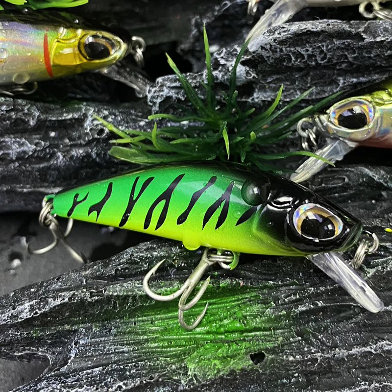 6 جرام 55 ملم طُعم صناعي يابان - مراجعة Fishing Equipment In Japanese وسعره