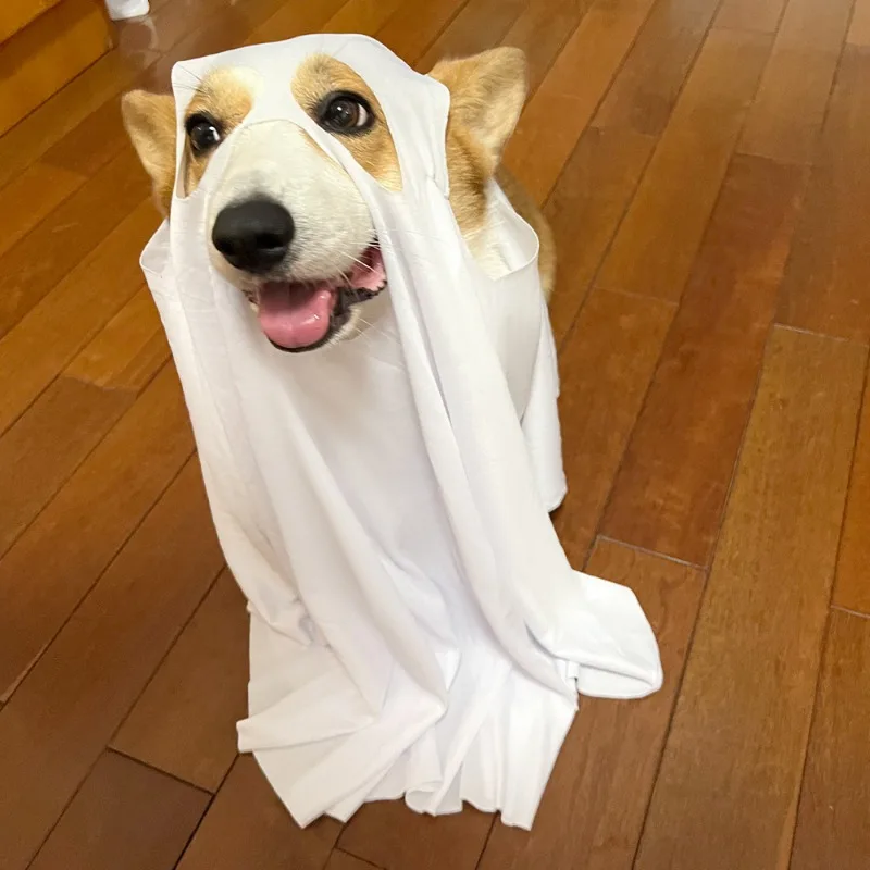 Disfraz de fantasma de perro para Halloween, traje de Cosplay para mascotas, ropa de capa para perros y gatos, disfraces de fiesta de Carnaval de Navidad