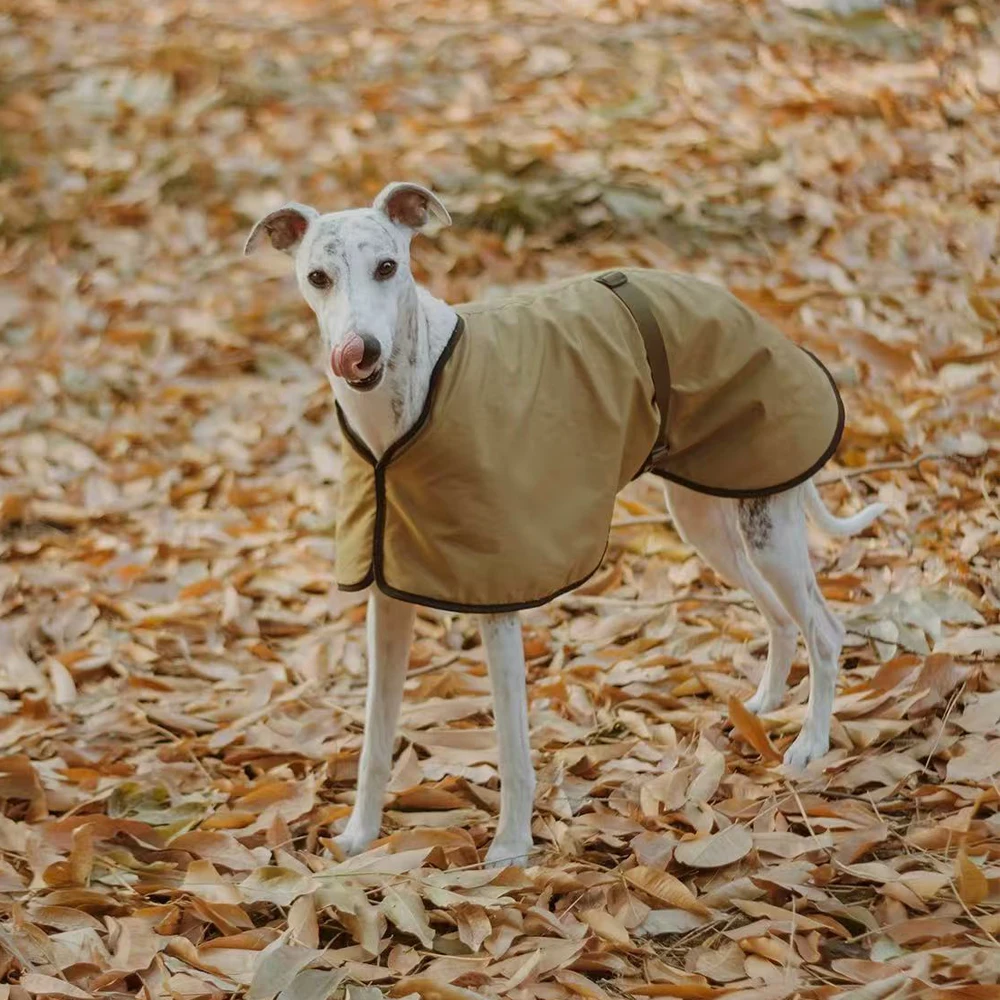

Winter Windproof Lamb Wool Inside Jacket for Greyhound Warm Waterproof Adjustable Cloak for Whippet Dogs Greyhound Dog Clothing
