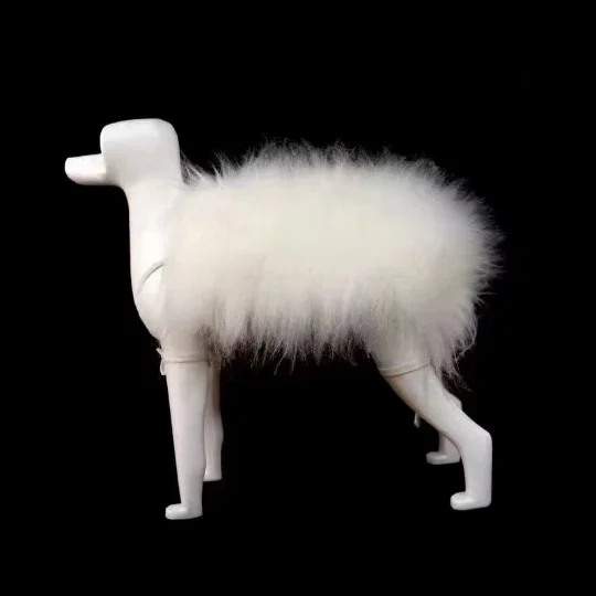 Kyrentemporal-Perruques de tête de nounours pour animaux de compagnie, modèle de cheveux de tête de salon, modèle de chien d'ours en peluche, mannequin de toilettage canin pour la pratique du toilettage