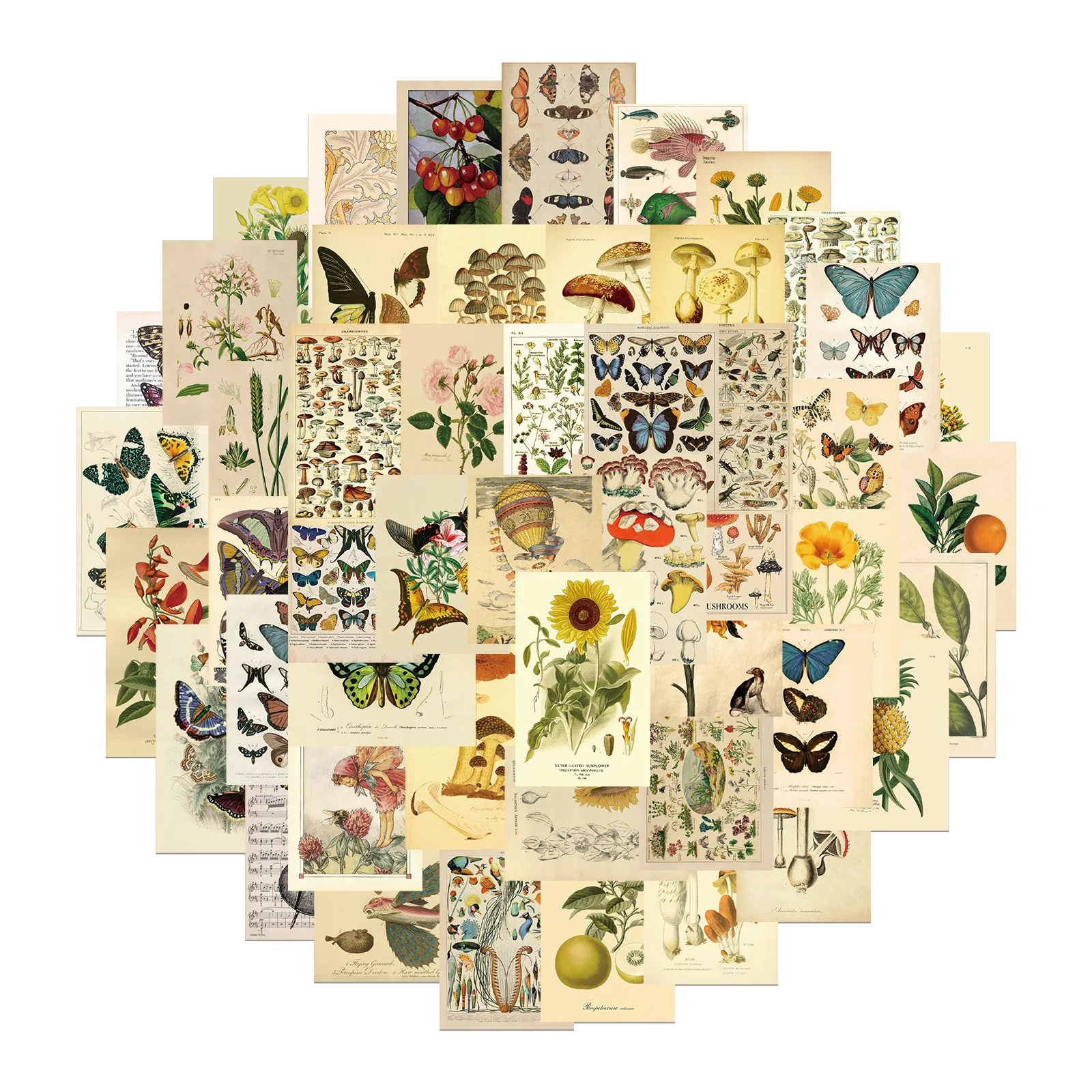 10/30/50PCS Vintage Plant Fruit Butterfly Stickers Aesthetic Graffiti Decals DIY Laptop Phone Suitcase Car Sticker Classic Toys