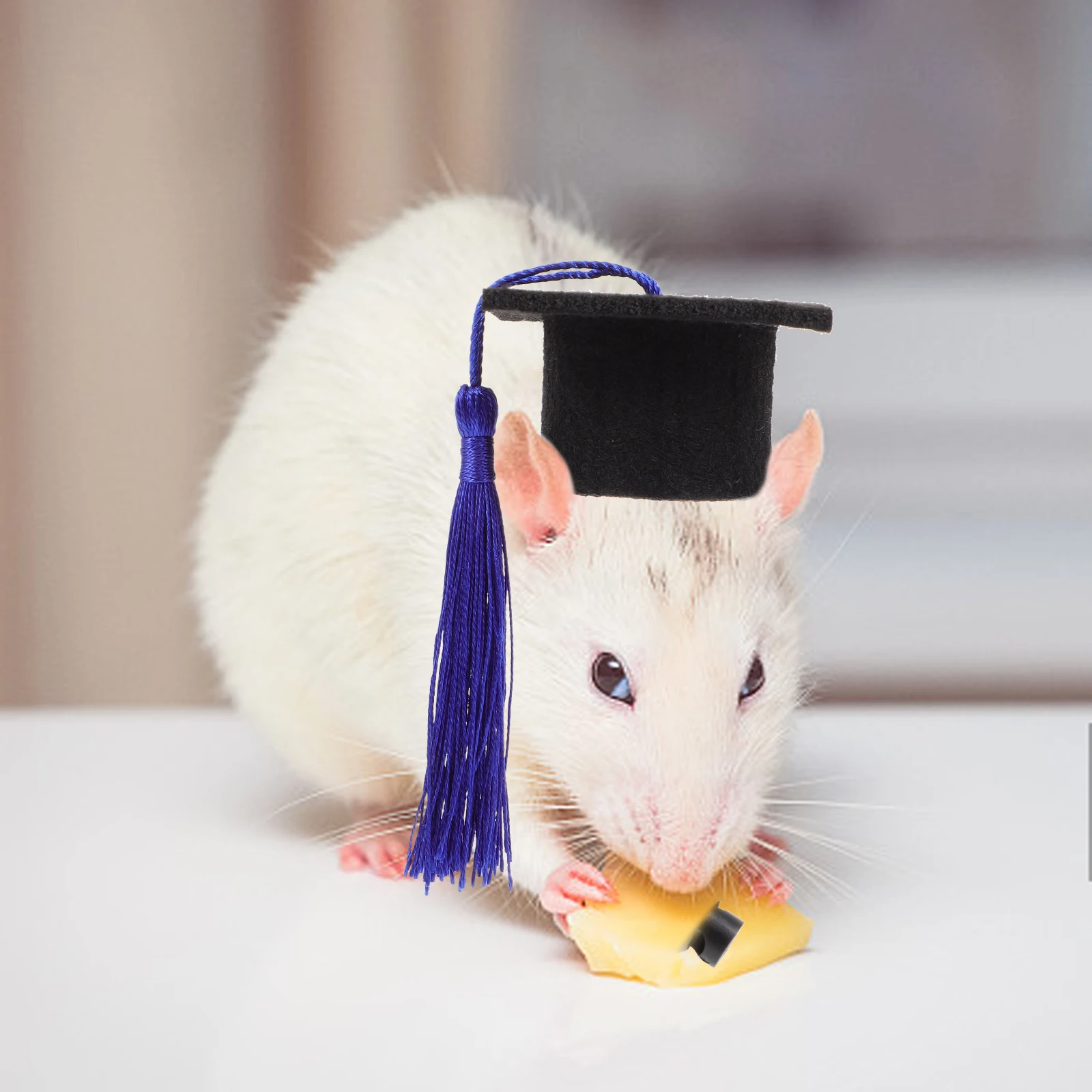 

Mini Pet Adjustable Size Hamster Hats Graduation Decorative Comfortable Wear-resistant Cute Accessories Dog Cats