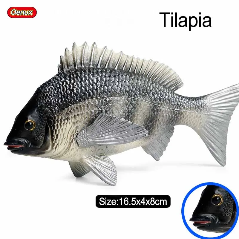 Figura Realista de Tilapia, Modelo de Pez Cíclido Africano de Agua Dulce, Simulación de Pez, Colección, Regalo, Adorno Educativo