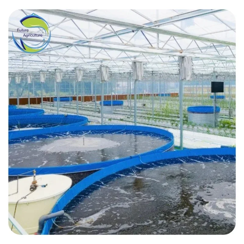 Piscine d'Élevage de Poissons en PVC, Étang TarLII, Réservoirs de Tilapia en Plastique, ShriAJFskins, Équipement pour Peaux de Poisson