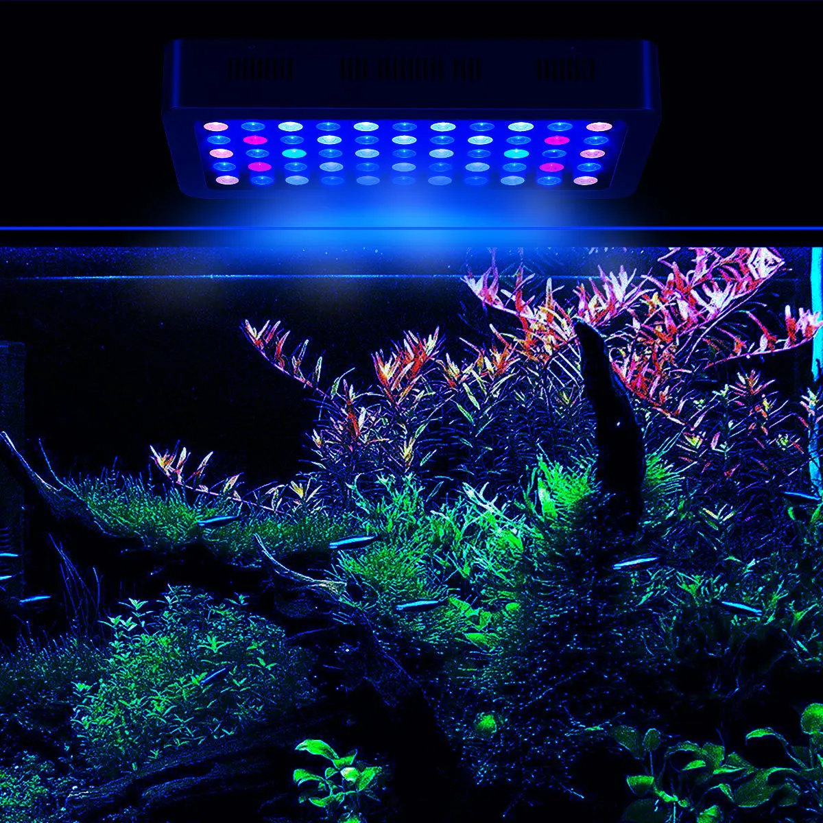 Best seller 165W OEM dimmable hydroponc Chinese Led Aquarium light coral reef led aquarium light