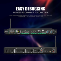 Professional Vocal Preamplifier with Anti-Howling & Bluetooth - Debra Audio Mic Processor for Live Singing, Stage, and Karaoke