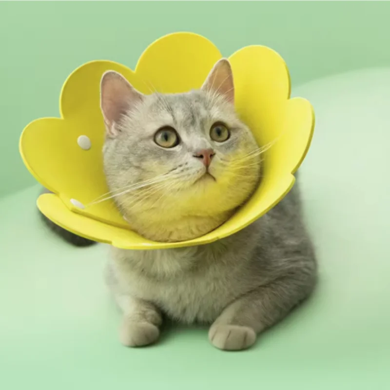 Collier de récupération ajustable en forme de fleur pour chats, chiens, chiots et chatons – Protection anti-morsure et aide à la guérison