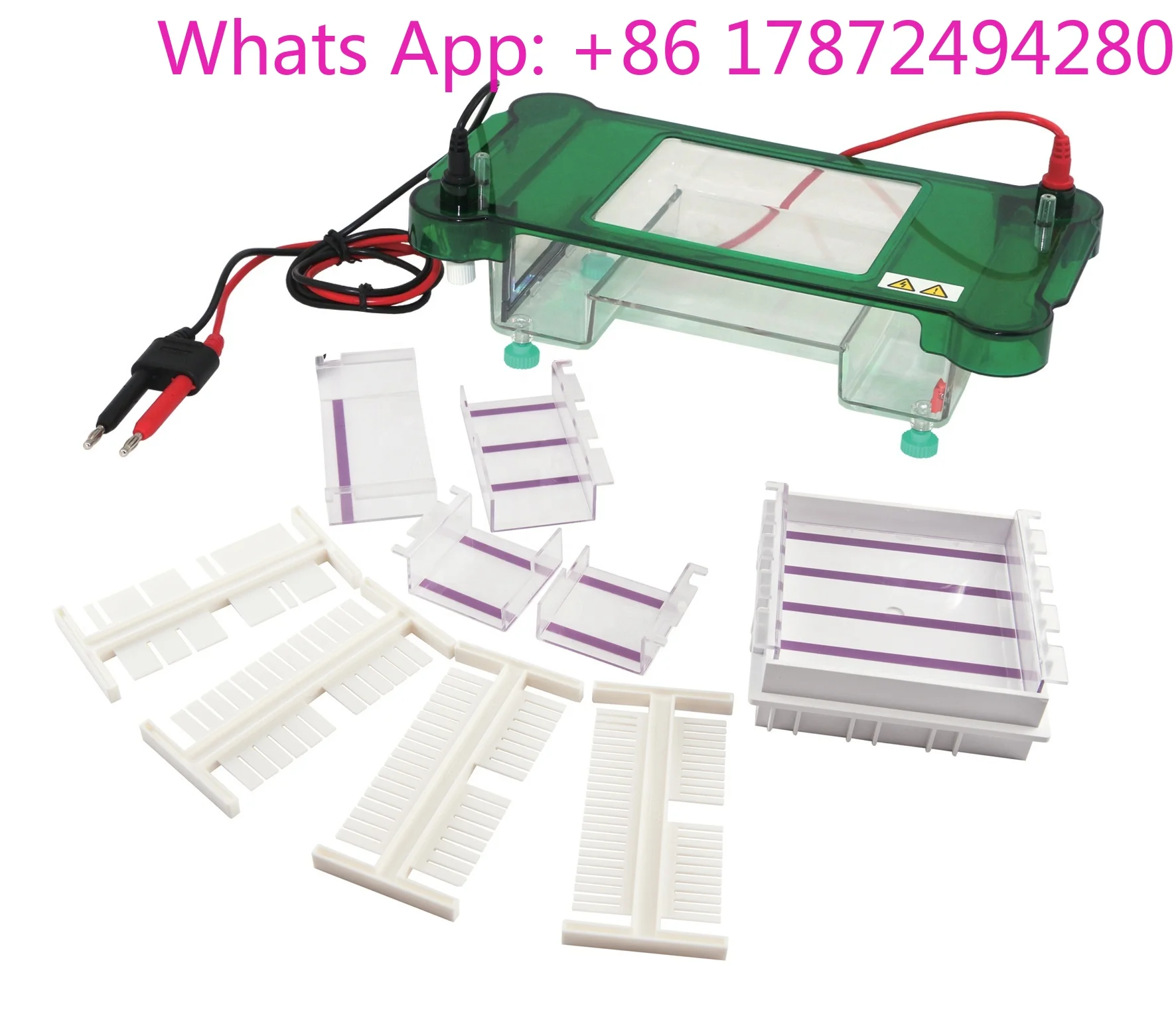 Automated High Precision Lab Electrophoresis System for Scientific Research & Quality Control Equipment