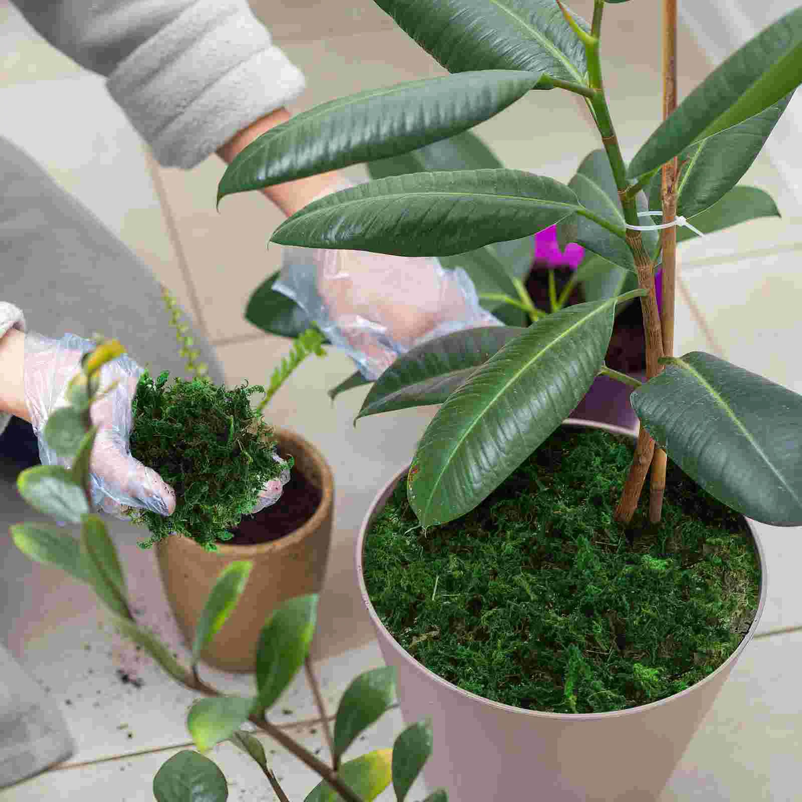 Terrarium-Dekor, Gartenarbeit, künstliches Moos, dekorative Topfpflanzen, grün, zum Basteln, Mittelstücke, konserviert, künstlich