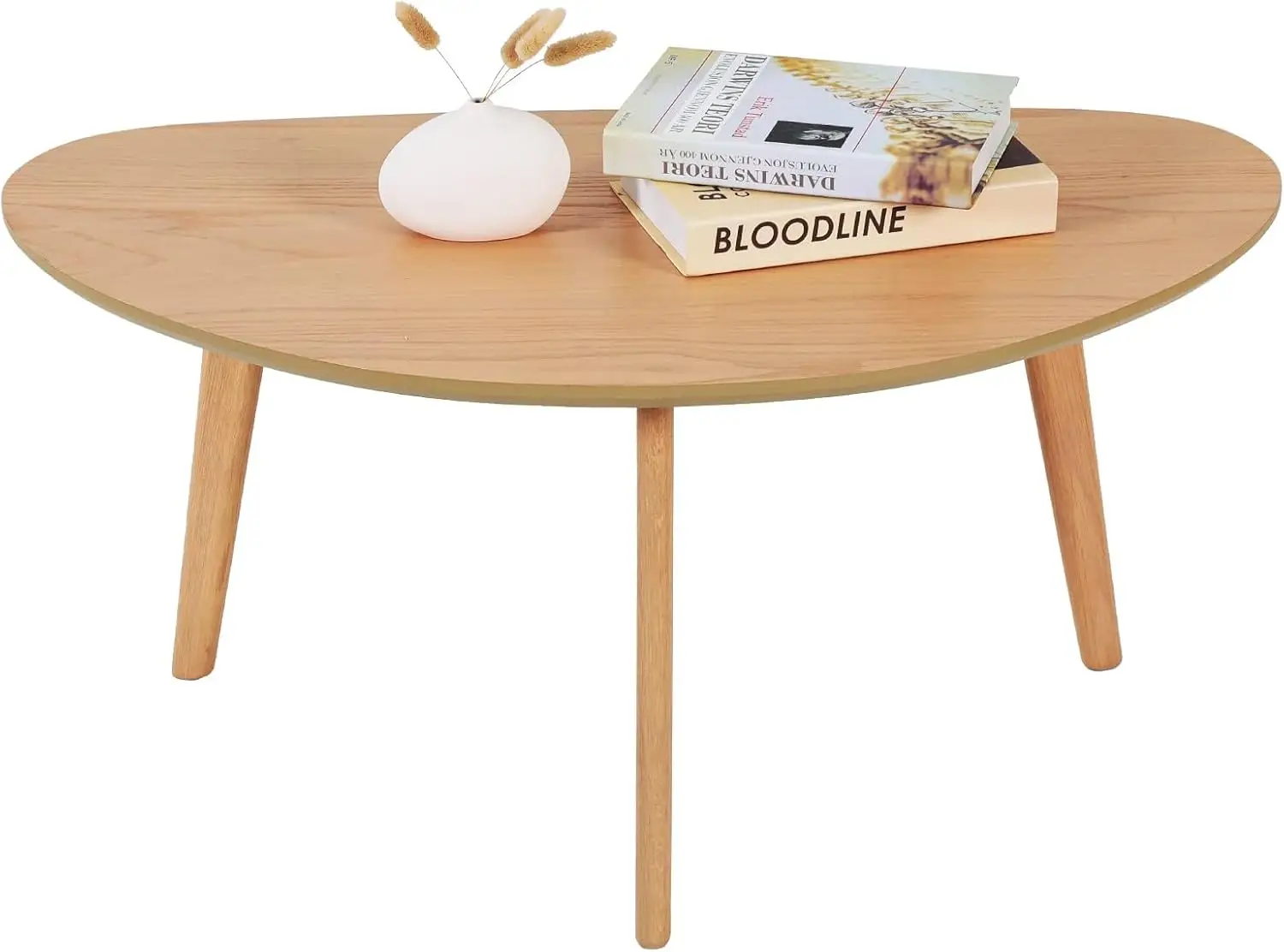 

Small Oval Coffee Table Mid Century Modern for Living Room Center Minimalist Display Coffe Table,Nature Wood