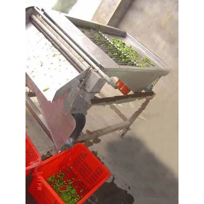 Fruit and vegetable processing equipment Edamame peeling machine Automatic commercial