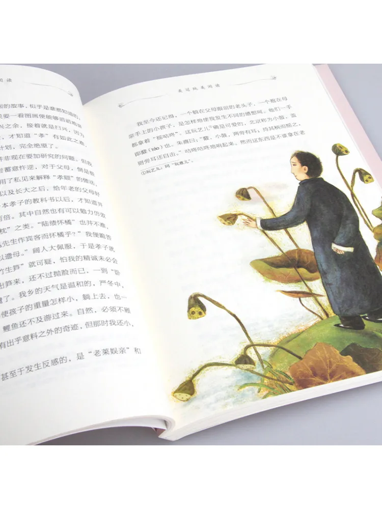 Book-Winshare Meiguan Pure Beauty Reading Series Picking Up Flowers at Dawn Special Collection Of Lu Xun