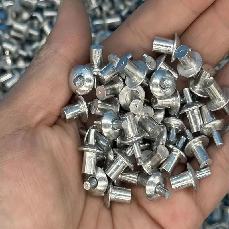 30/50/100pcs Aluminum Expansion Rivets Hammer Drive Expansion Nails Head Piercing Rivet Stainless Steel Rod Screws Fasteners