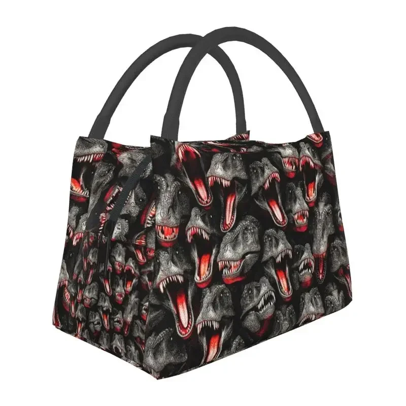 

Dinosaur Fossils Insulated Lunch Bags for Camping Travel Dino Skeleton Portable Cooler Thermal Bento Box Women