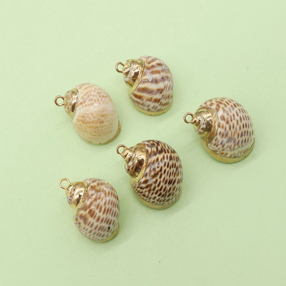 5pcs Fashion Natural Conch Shell Pendant Exquisite Jewelry Home Decoration Crafts DIY Charm Ocean Necklace Bracelet Accessories