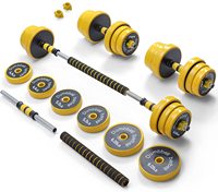 Adjustable Equipment 30KG Weights Cast-Iron Dumbbells Barbell Sets for Home GYM