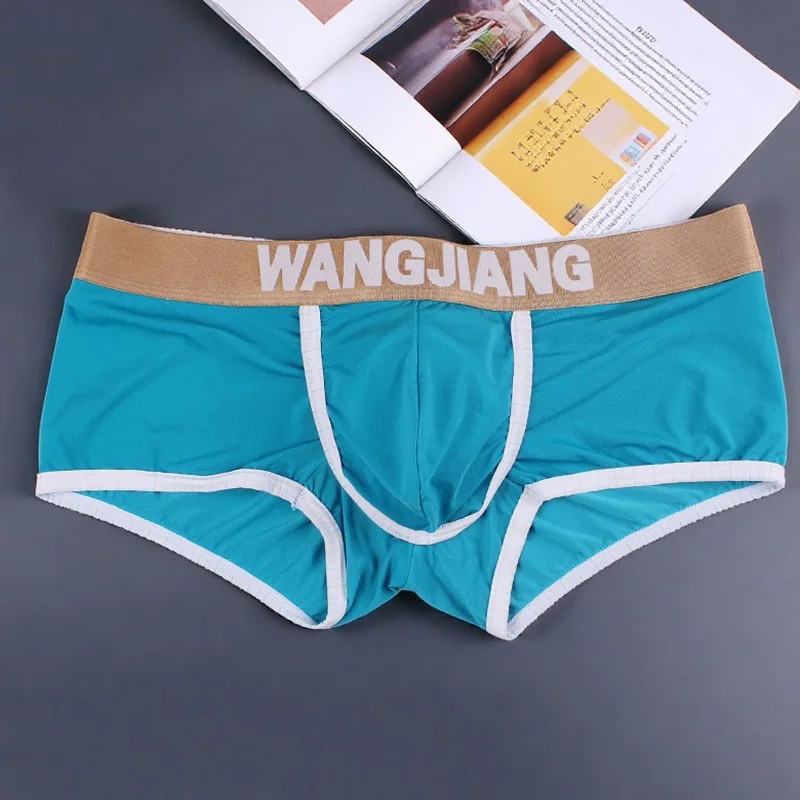 Ice Silk Bulge Boxy Underwear for Men Sexy Low-Rise U Convex Pouch Boxer Briefs Thin Youth Separate Pouch Trunks Cozy Underpants
