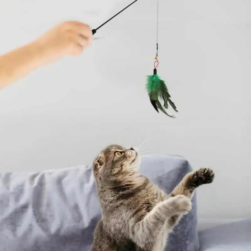 Cat Teasing Stick 8pcs Cat Toys For Indoor Cats Cat Wire Toy Interactive Catcher Teaser Harmless Green Funny Exercise For Indoor