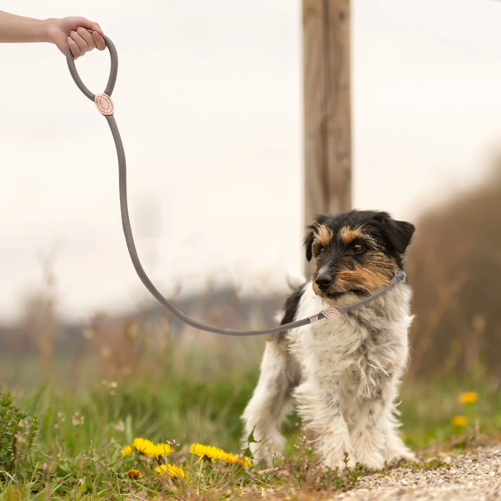 

Nylon Dog Leash Heavy Duty Adjustable Rope for Medium Small Dogs Outdoor Walking Training Pet Traction Pulling Control