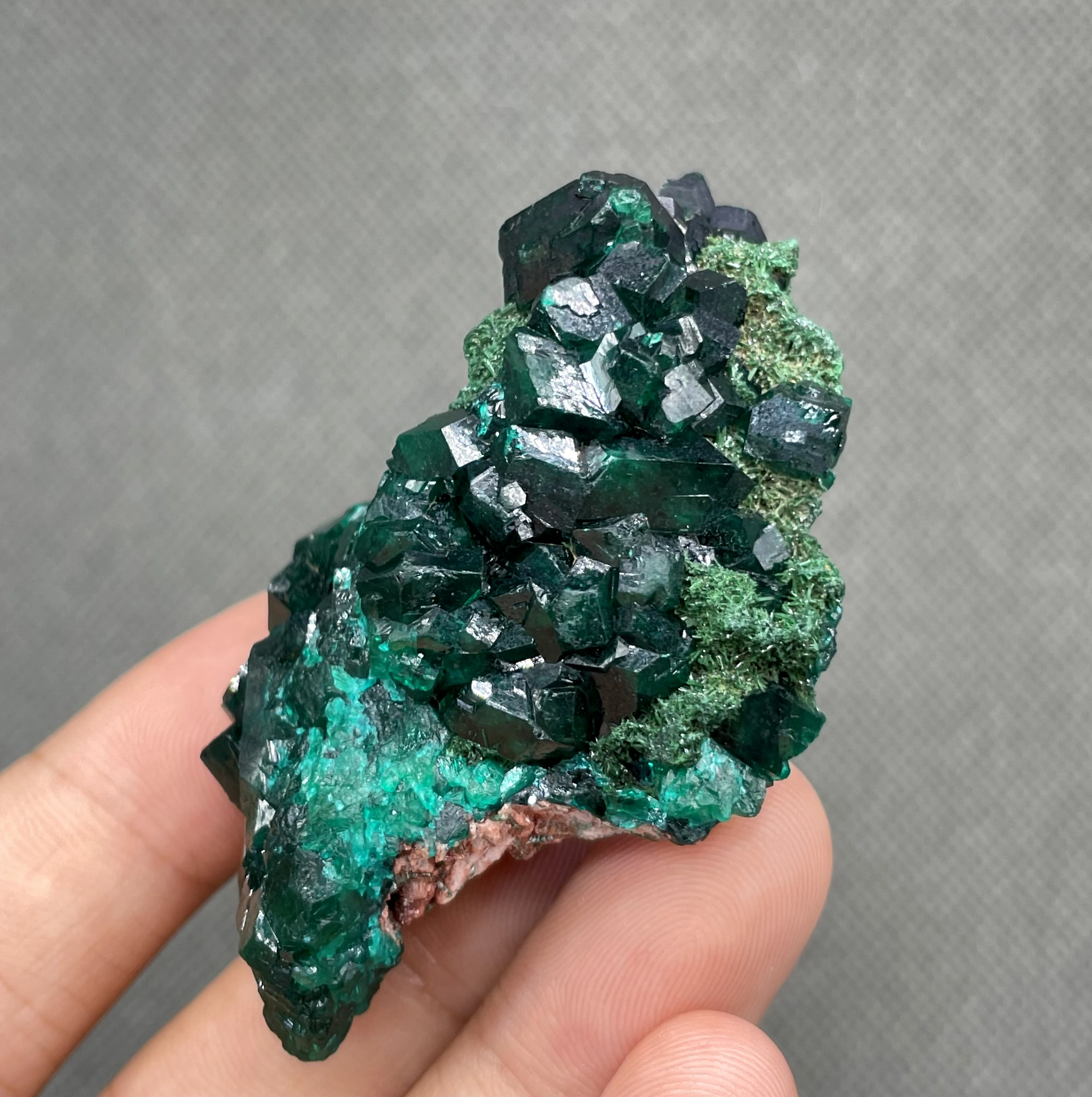 

Very rare! 44g Natural shiny Congo green Dioptase Mineral specimen stones and crystals quartz