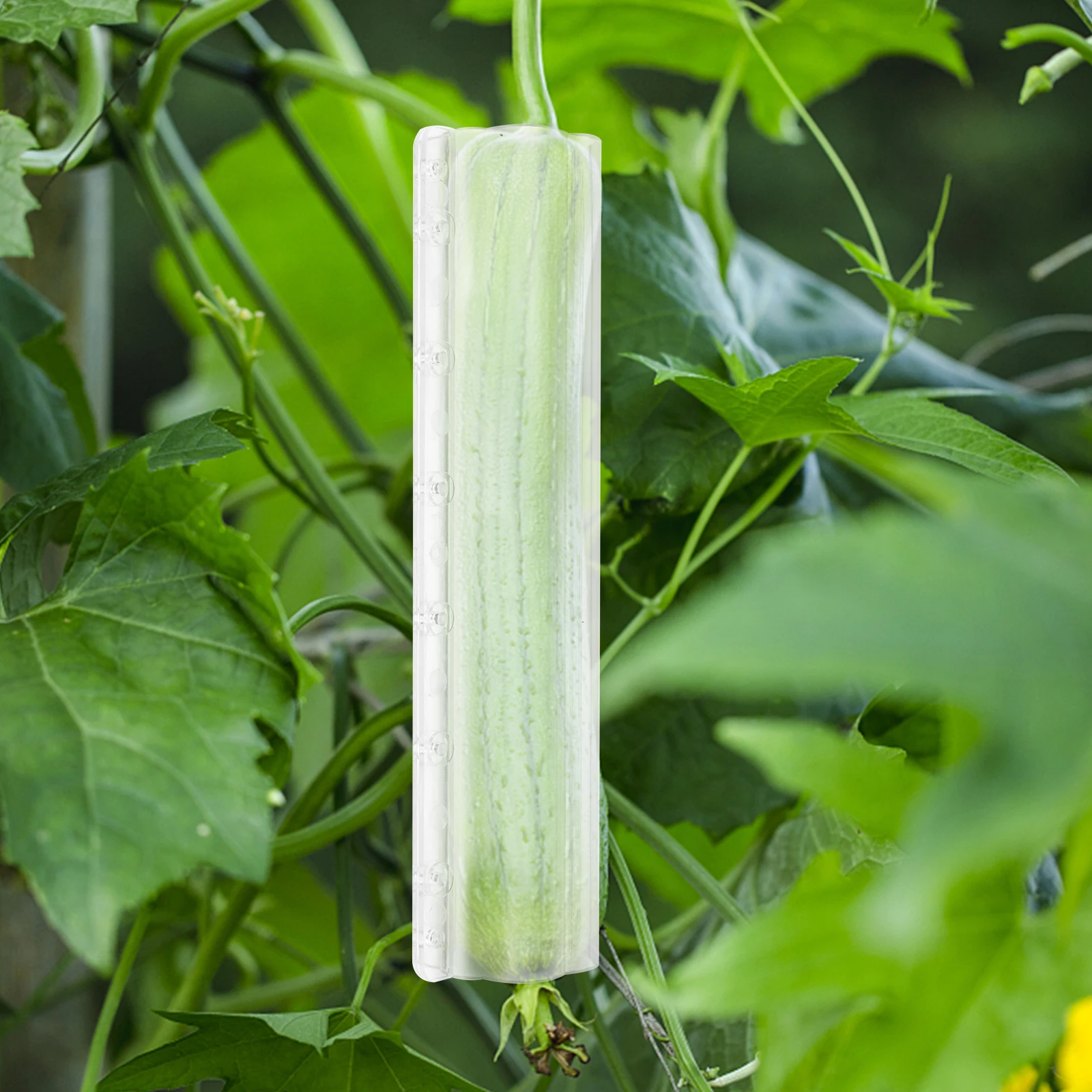

4 pcs Transparent Vegetable Growing Molds Plastic Fruit Shaping Tools Durable Moisture Resistant Garden Yard Backyard Plant